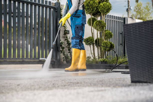 Best Commercial Building Pressure Washing  in Magnolia, MS