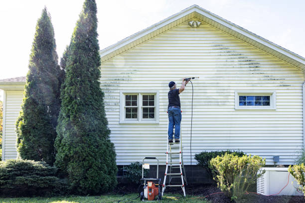 Best Affordable Pressure Washing  in Magnolia, MS