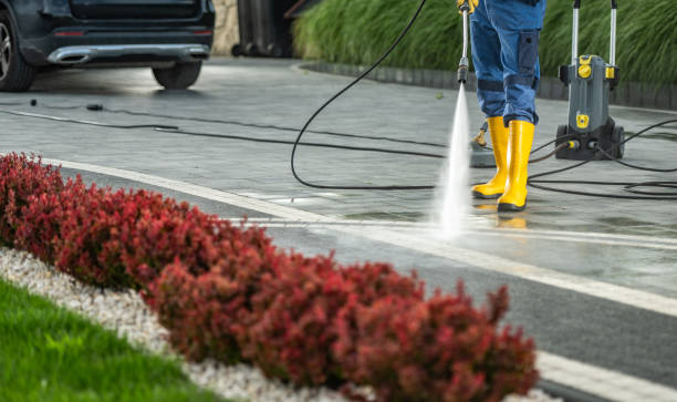 Best Deck Cleaning Services  in Magnolia, MS