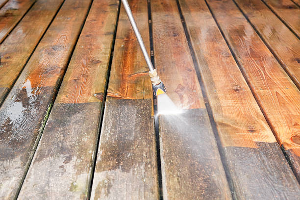 Best Best Pressure Washing Companies  in Magnolia, MS