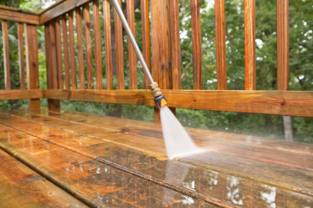 Best Best Pressure Washing Companies  in Magnolia, MS